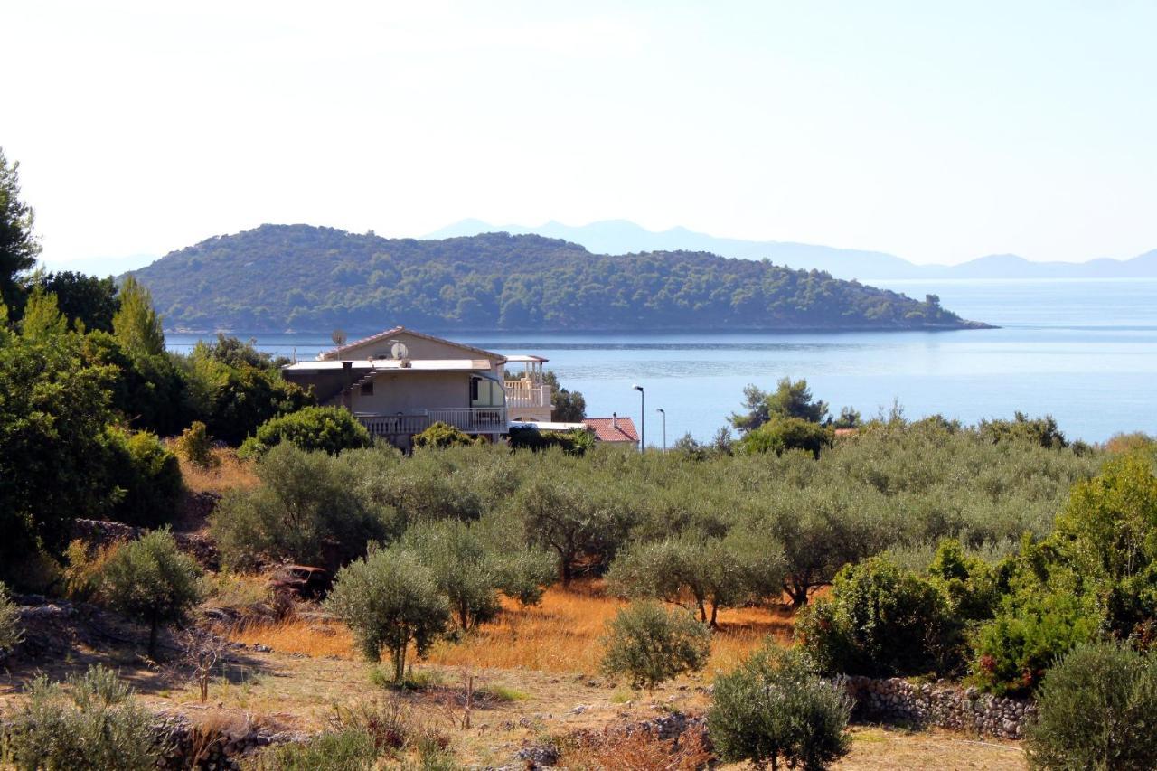 Apartments With A Parking Space Prizba, Korcula - 219 外观 照片